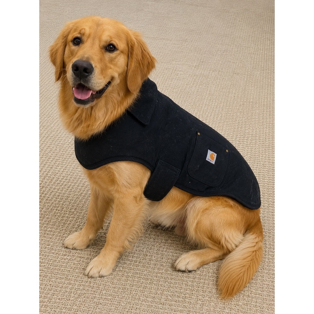Carhartt Chore Coat Dog Vest Black Cotton Duck Canvas Quilted Lining Medium